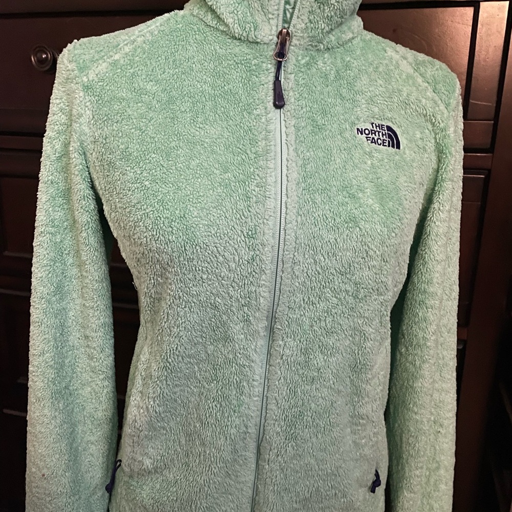 The North Face Green Teddy Jacket Plush Fleece High Collar
